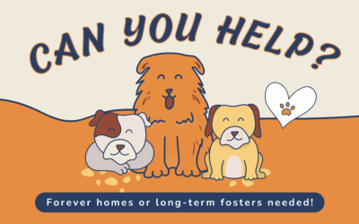 April 2025 E-newsletter